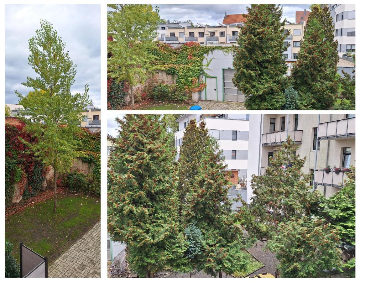 Modernes Einraumzimmer Mit Eigenem Bad, Balkonnutzung, Zentrumsnah - In 10 Minuten Mit Dem Rad Oder Dem Oepnv Zur Arena Und In Leipzigs Innenstadt Extérieur photo
